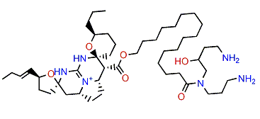 Monanchoxymycalin A